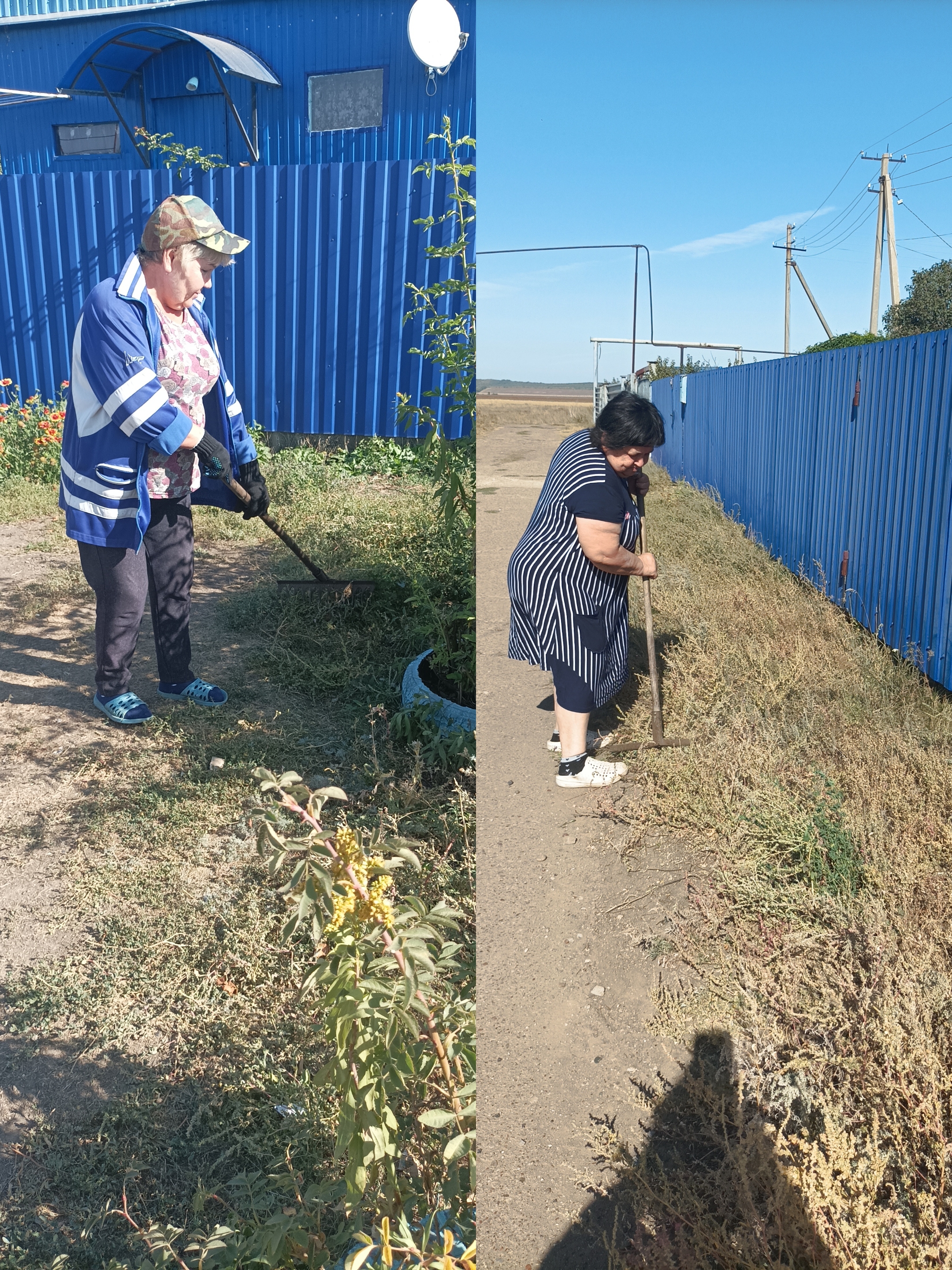 Жители ул. Молодёжной в  селе  Семёновка  активно участвуют в уборке придомовых территорий   во время проведения  осеннего месячника по благоустройству..