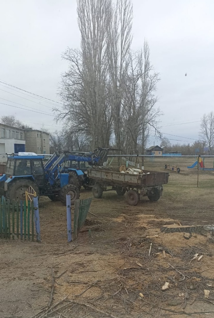 Выпиловка и вывоз деревьев в детском саду с Ястребовка.