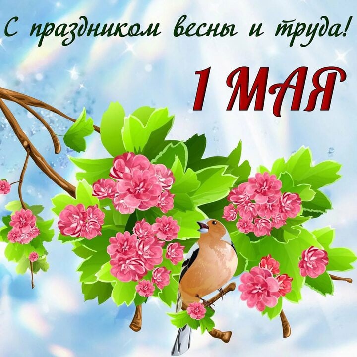 1 мая в России отмечается праздник Весны и Труда..