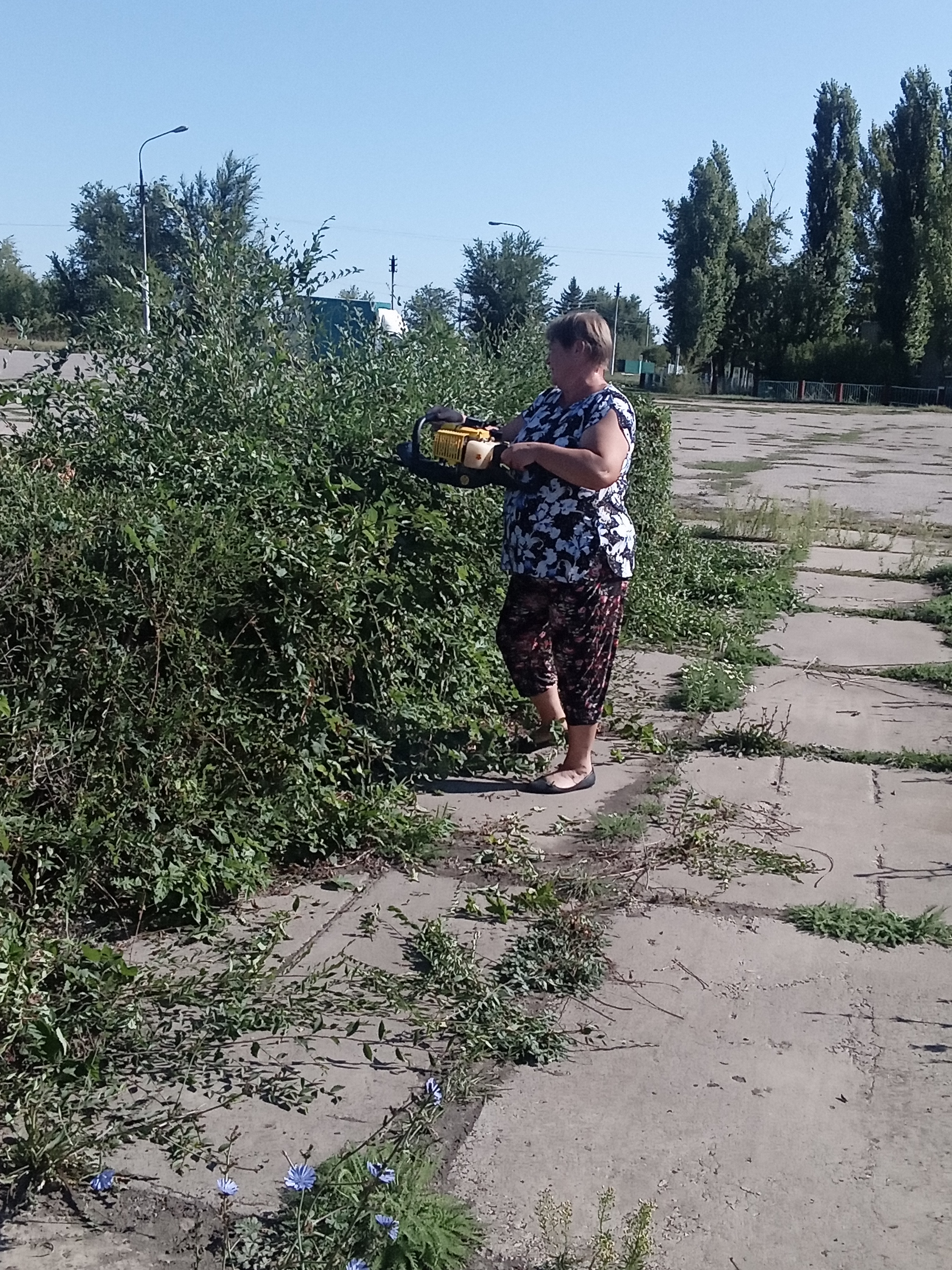 13 сентября, в рамках проведения осеннего месячника по благоустройству и санитарной очистке, специалистами администрации и сотрудниками Дома Досуга пос. Колос произведена обрезка кустарников на территории сквера..