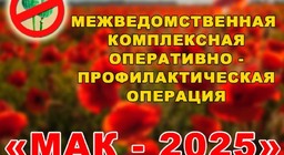 С 11 по 20 августа 2025 года на территории Зоркинского МО пройдет второй этап оперативно-профилактической операции «Мак-2025»..