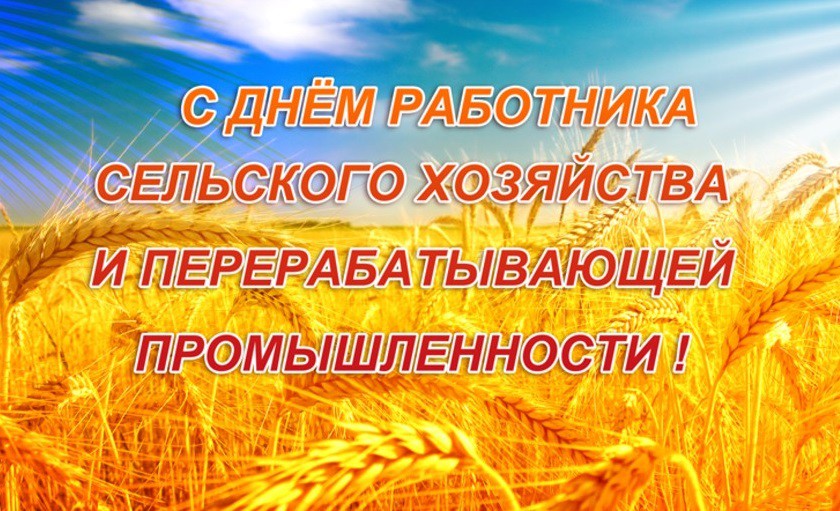 Дорогие работники сельского хозяйства и ветераны отрасли Зоркинского муниципального образования! .