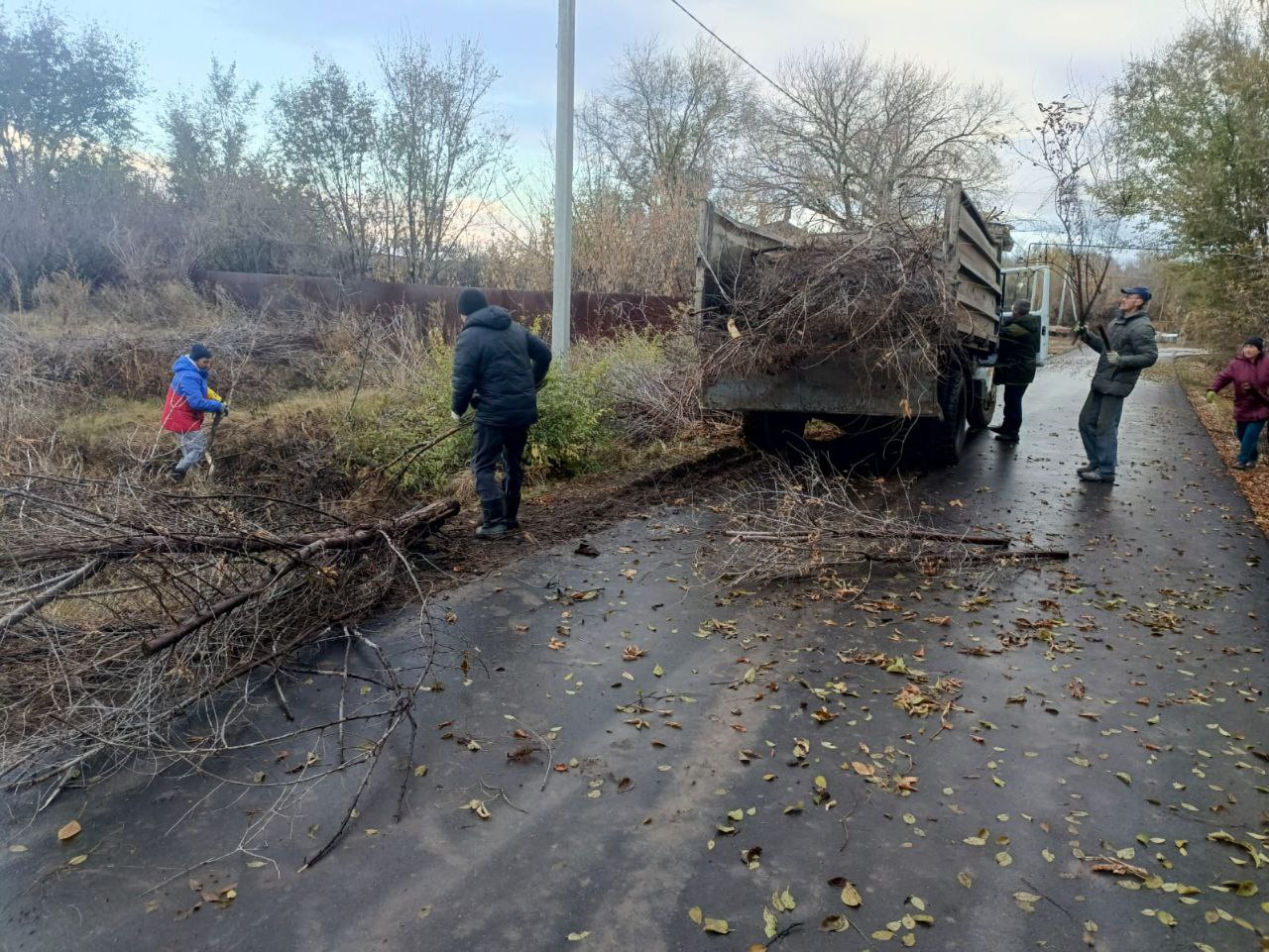 Сегодня, 30 октября, в с. Волково инициативные жители провели опиловку веток деревьев, кустарников..