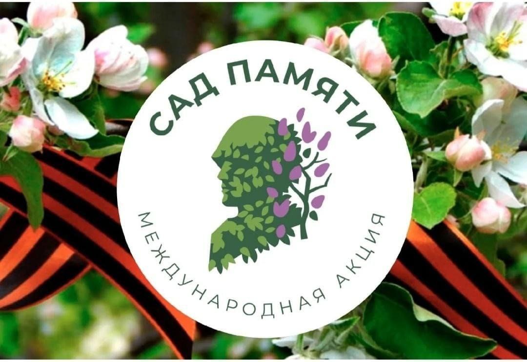 Сегодня, 22 апреля, в честь 80-летия Победы в Великой Отечественной войне в школьном саду с. Зоркино коллективом школы высажена Аллея памяти – 100 саженцев сосны..