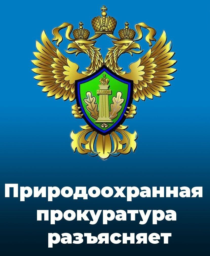 Саратовская межрайонная природоохранная прокуратура разъясняет изменения, внесенные в лесное законодательство.