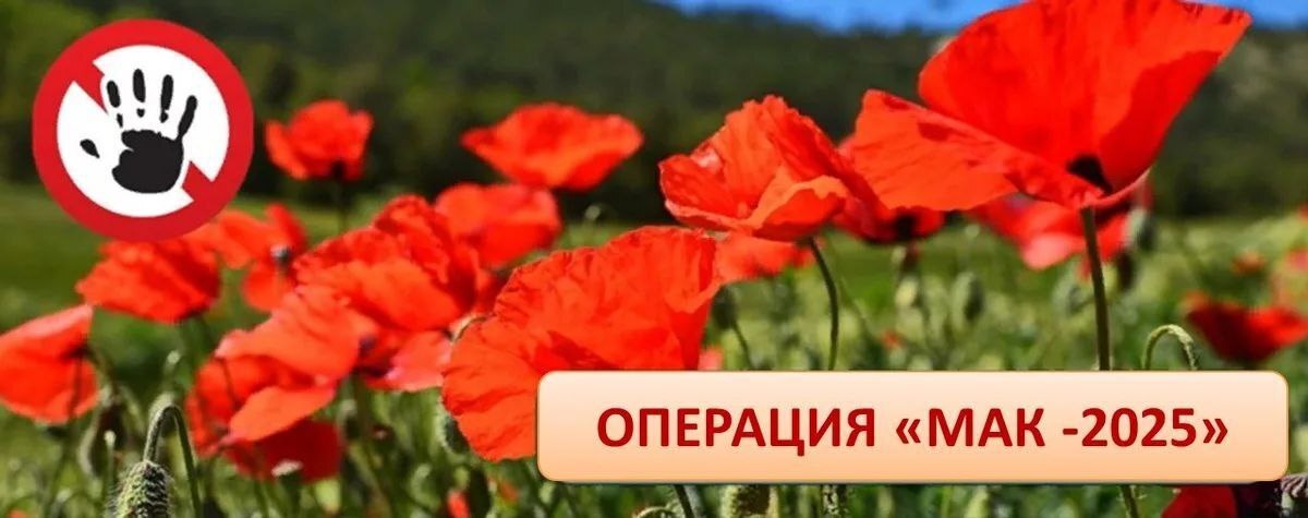  С 8 по 17 сентября 2025 года на территории Зоркинского МО пройдет третий этап  межведомственной комплексной   оперативно-профилактической операции «Мак-2025»..