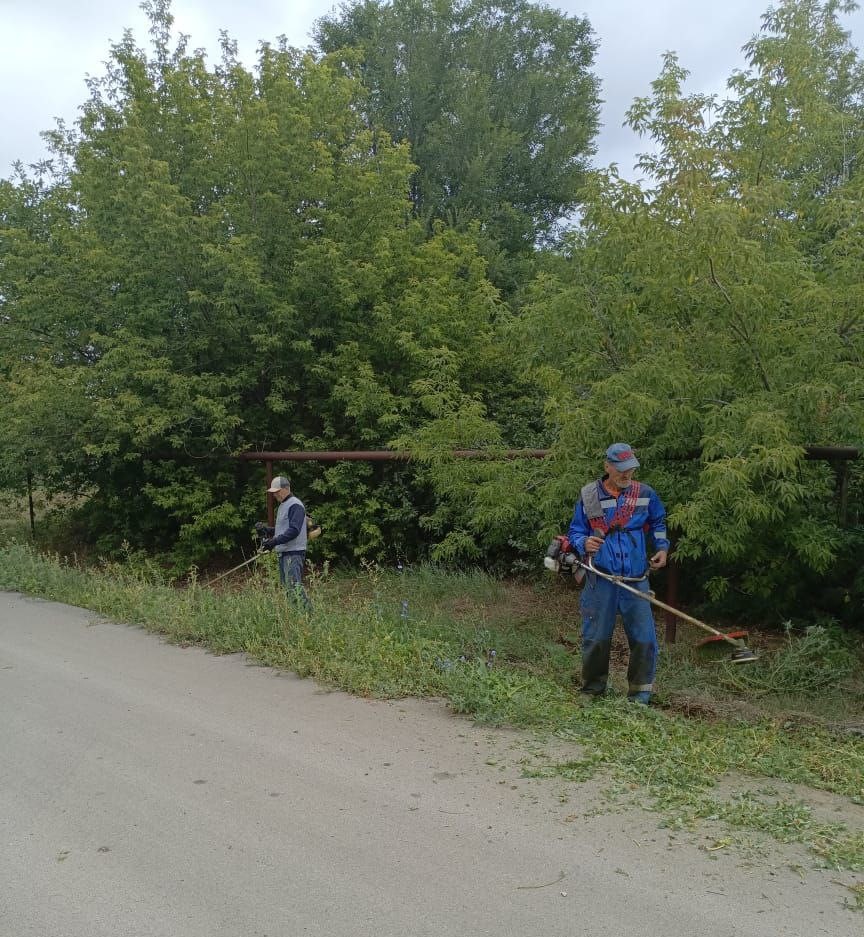 Жители с. Волково приняли активное участие в покосе сорной растительности..