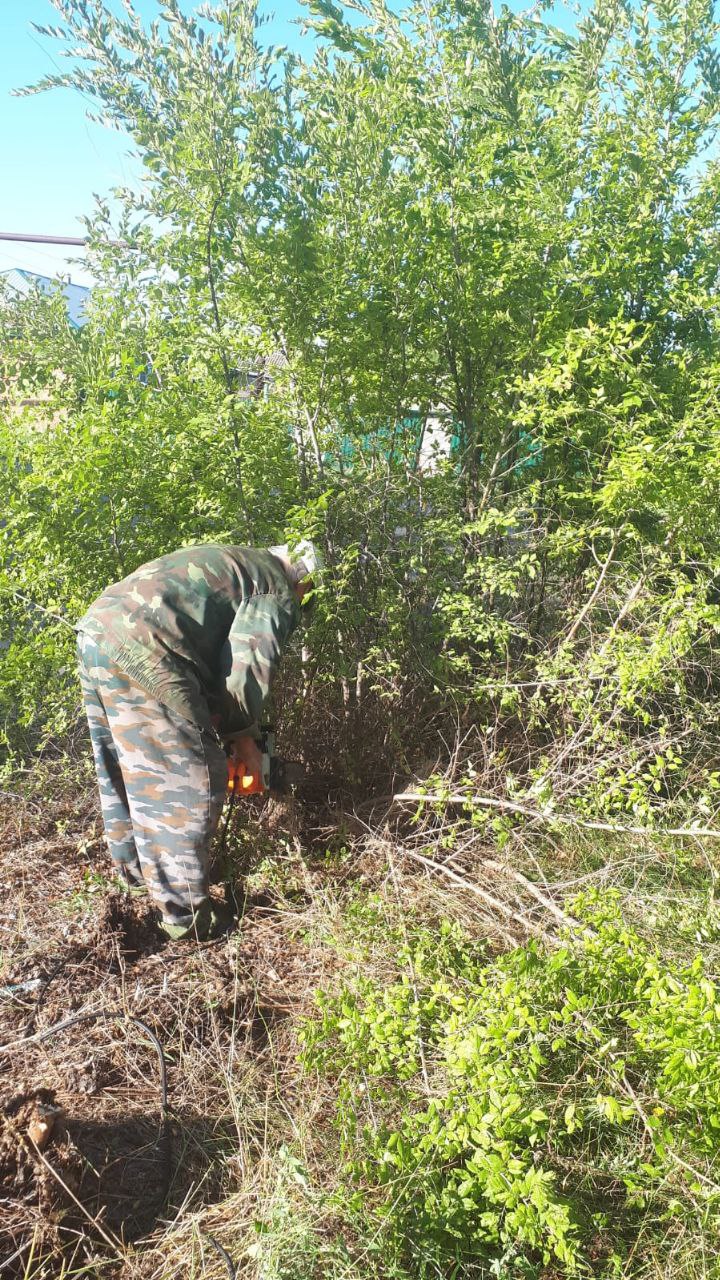 В с. Георгиевка ведущим специалистом администрации Зоркинского МО Александром Статут организована вырубка кустарников, поросли деревьев на территории в центре села..