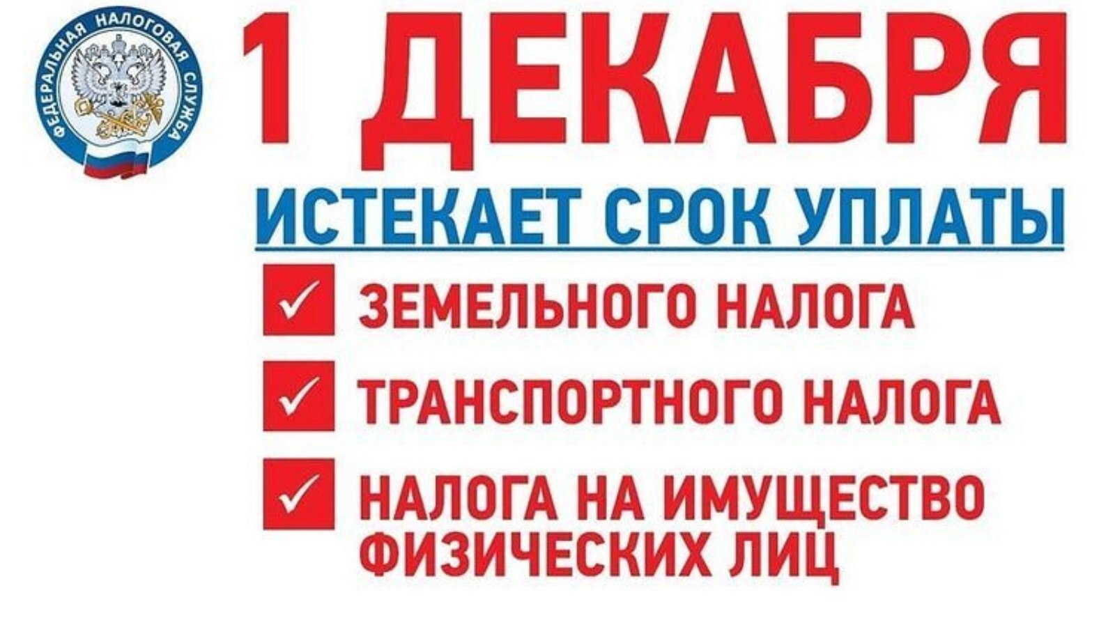 Срок уплаты налогов истекает 1 декабря!.