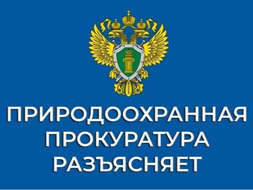 Саратовская межрайонная природоохранная прокуратура разъясняет изменения, внесенные в природоохранное законодательство.
