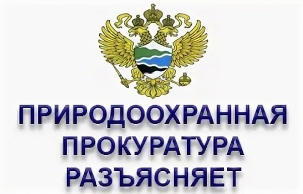 Саратовская межрайонная природоохранная прокуратура разъясняет изменения, внесенные в законодательство об отходах.