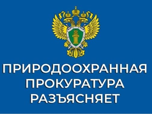 Саратовская межрайонная природоохранная прокуратура разъясняет изменения, внесенные в законодательство об отходах.