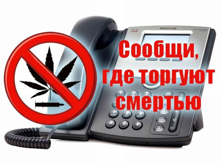 В Саратовской области стартовала антинаркотическая акция «Сообщи, где торгуют смертью». В Саратовской области стартовала антинаркотическая акция «Сообщи, где торгуют смертью».