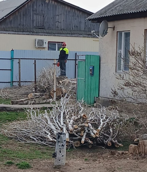 2 апреля по заявке жителей в с. Михайловка Марксовскими «Электросетями»  спилено большое дерево по ул. Калинина, 41..