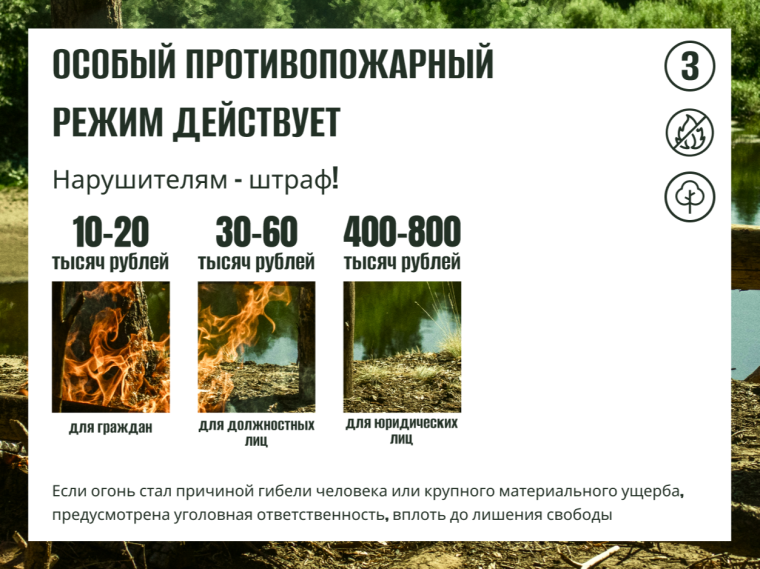 С 15 мая в Саратовской области будет действовать особый противопожарный режим.