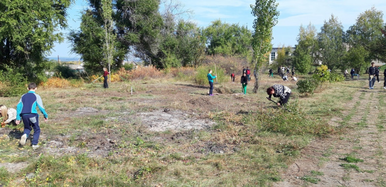 Учащиеся, педагоги школы с.Зоркино продолжают принимать участие в месячнике по благоустройству территории. Во время уборки территории в солнечный и тёплый осенний день все "зарядились" хорошим позитивным настроением.