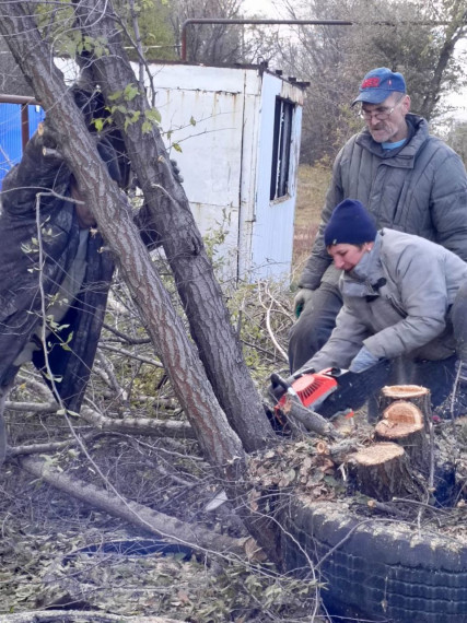 Сегодня, 30 октября, в с. Волково инициативные жители провели опиловку веток деревьев, кустарников..