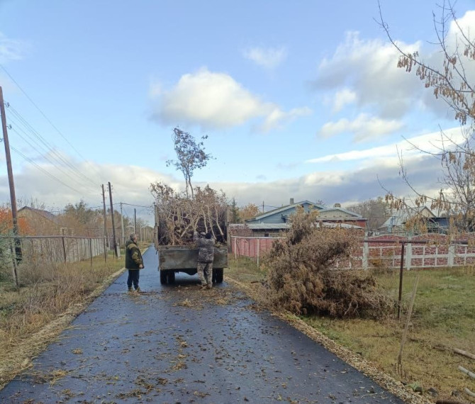 Сегодня, 30 октября, в с. Волково инициативные жители провели опиловку веток деревьев, кустарников..